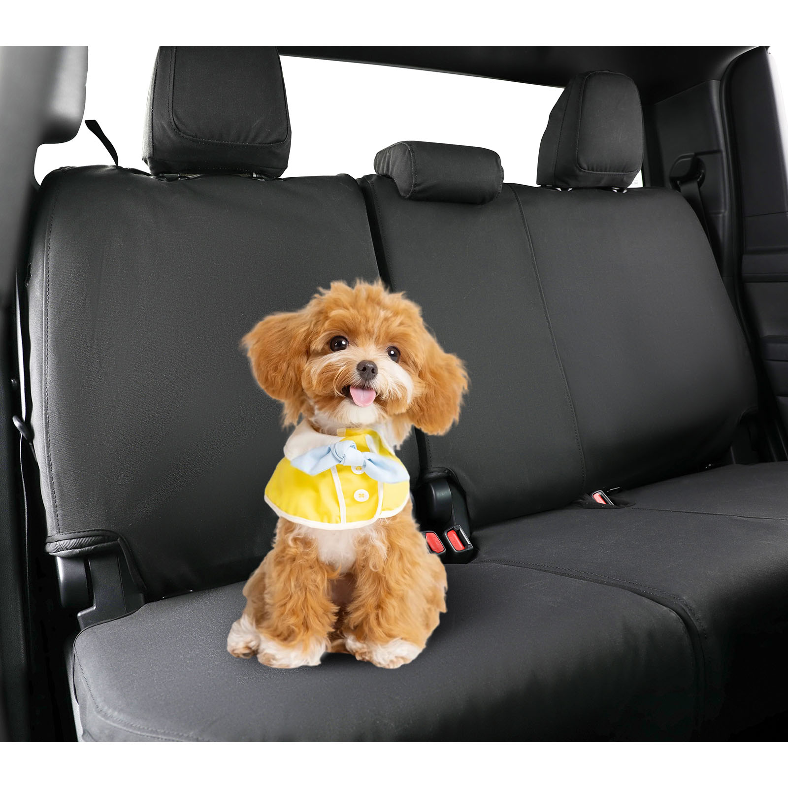 Coverexpert Canvas Seat Covers