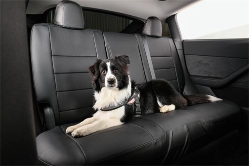 Pet-friendly seat covers on the Tesla Model Y